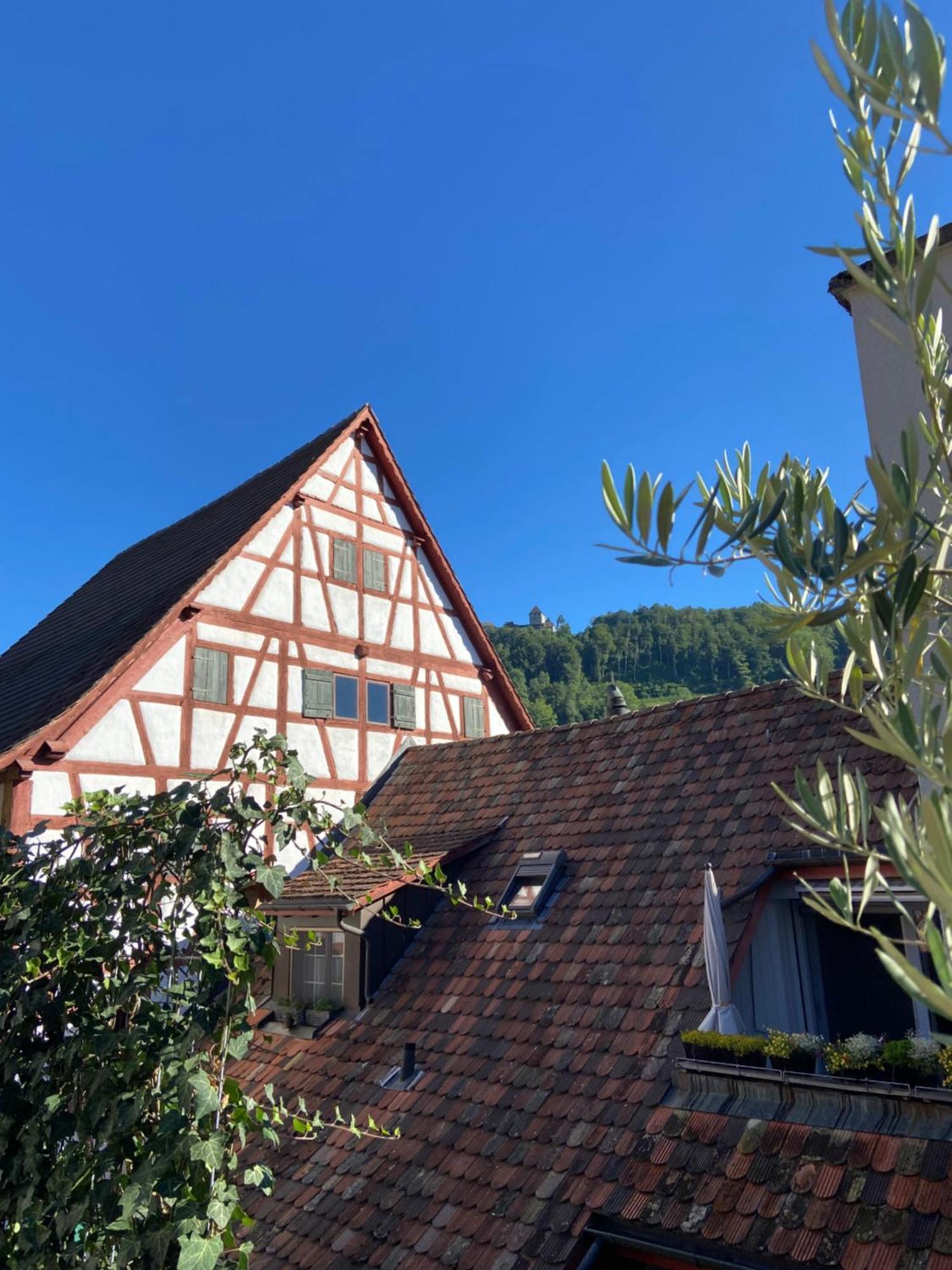 Understadt 14 Guesthouse Stein Am Rhein Zewnętrze zdjęcie